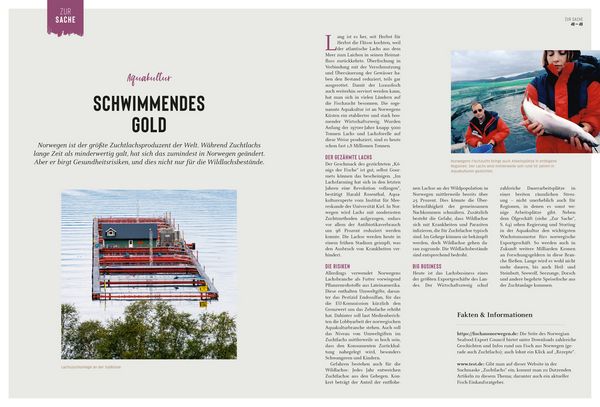 Produktbild: DUMONT Bildatlas Norwegen S&uuml;den