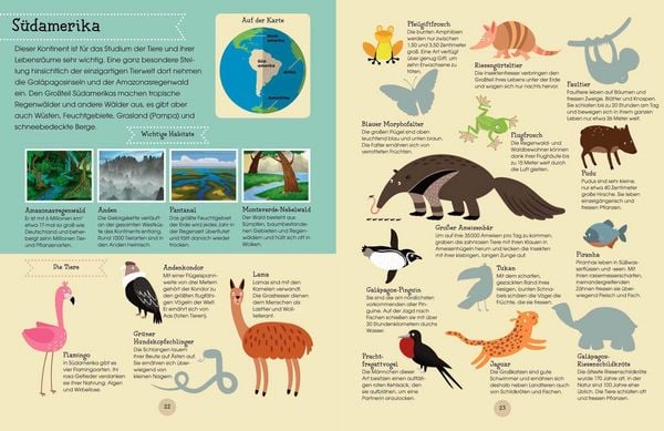Produktbild: Zeichne deinen eigenen Tieratlas! &Uuml;ber 170 Tiere von 7 Kontinenten. Ganz einfach Schritt f&uuml;r Schritt. F&uuml;r Kinder ab 6 Jahren