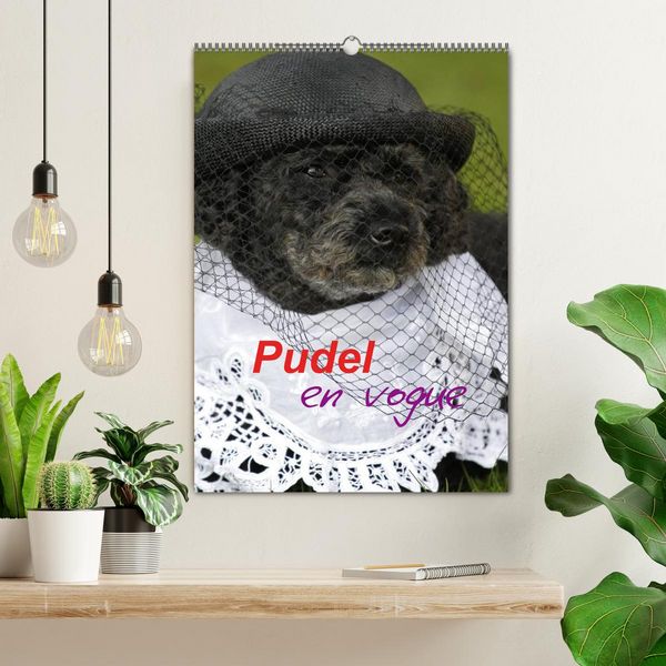 Produktbild: Pudel en vogue (Wandkalender 2026 DIN A2 hoch), CALVENDO Monatskalender