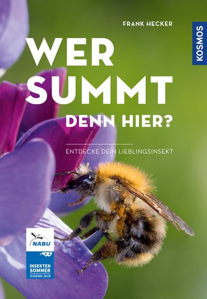 Produktbild: Wer summt denn hier? - Insektensommer