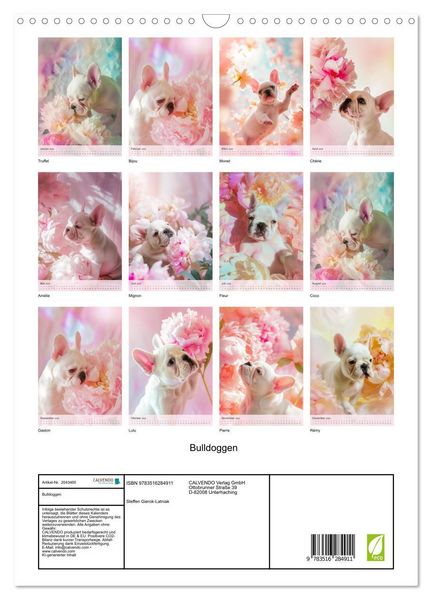 Produktbild: Bulldoggen (Wandkalender 2026 DIN A3 hoch), CALVENDO Monatskalender