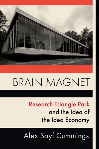 Produktbild: Brain Magnet