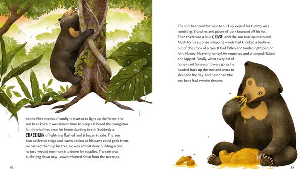 Produktbild: Secrets of the Forest