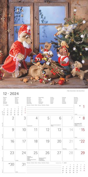  Teddy 2022 - Broschürenkalender 30x30 cm (30x60 geöffnet) -  Kalender mit Platz für Notizen - Bildkalender - Wandplaner - mit  herausnehmbarem Poster : Everything Else