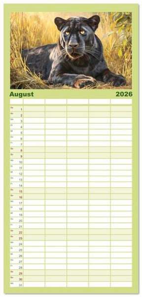 Produktbild: Familienplaner 2026 - Schwarze Panther. Geheimnisvolle Schatten der Wildnis mit 5 Spalten (Wandkalender, 21 x 45 cm) CALVENDO