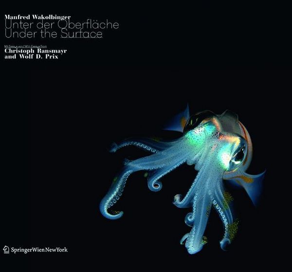 Produktbild: Unter der Oberfl&auml;che. Under the Surface