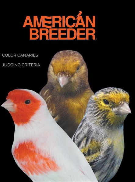Produktbild: American Breeder