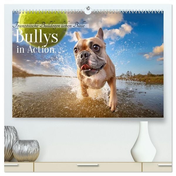 Produktbild: Bullys in Action - Franz&ouml;sische Bulldoggen lieben B&auml;lle (hochwertiger Premium Wandkalender 2026 DIN A2 quer), Kunstdruck in Hochglanz