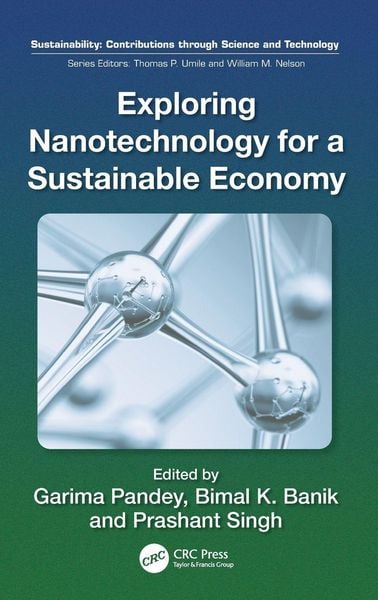Produktbild: Exploring Nanotechnology for a Sustainable Economy