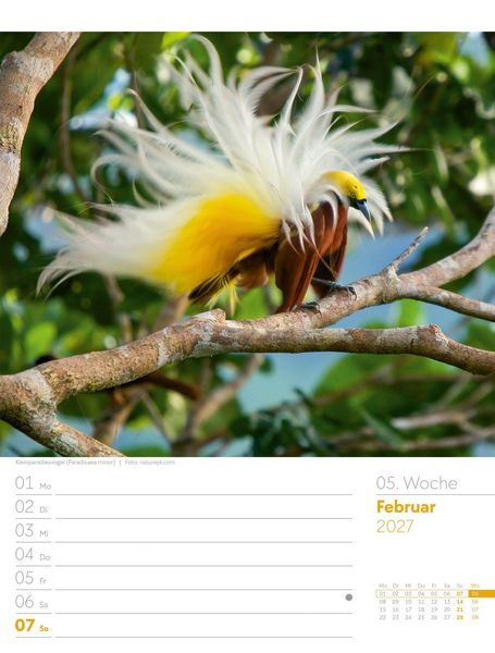 Produktbild: V&ouml;gel Wochenplaner Kalender 2027