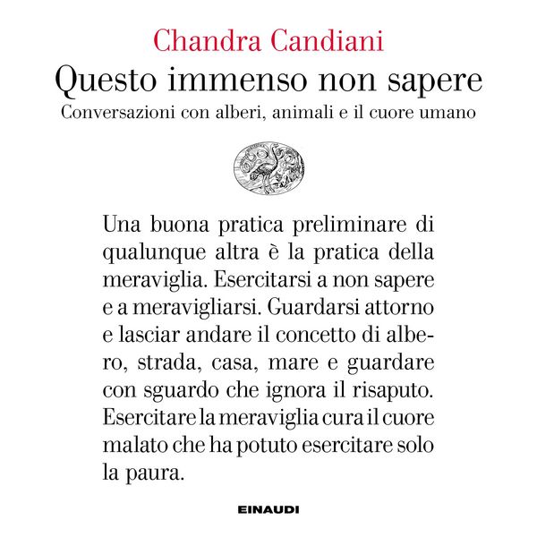 Questo immenso non sapere - Chandra Candiani, Audio, 9788858490976