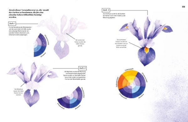 Produktbild: Die Anatomie der Farben