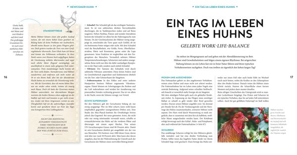 Produktbild: H&uuml;hner Basics