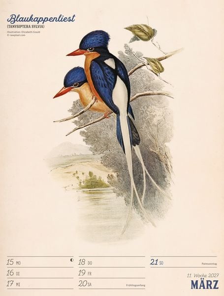 Produktbild: Wunderbare Vogelwelt Wochenplaner Kalender 2027