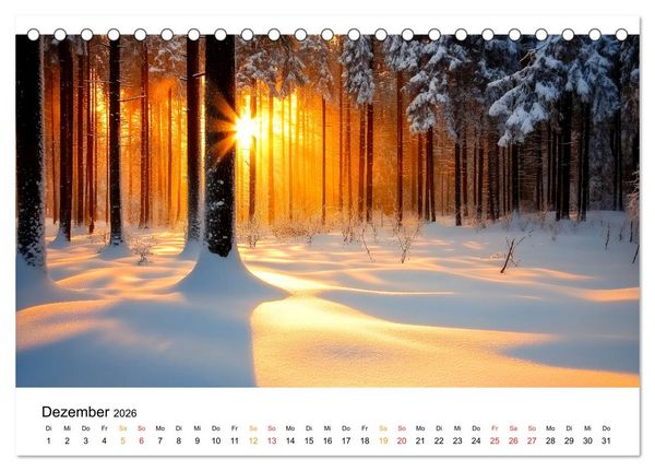 Produktbild: Mystik der W&auml;lder (Tischkalender 2026 DIN A5 quer), CALVENDO Monatskalender
