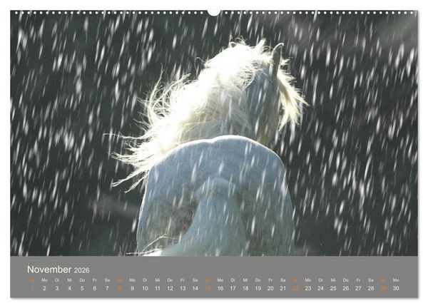 Produktbild: FANTASY Pferde Horses Caballos (Wandkalender 2026 DIN A2 quer), CALVENDO Monatskalender