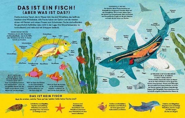 Produktbild: Fische, Fische &uuml;berall