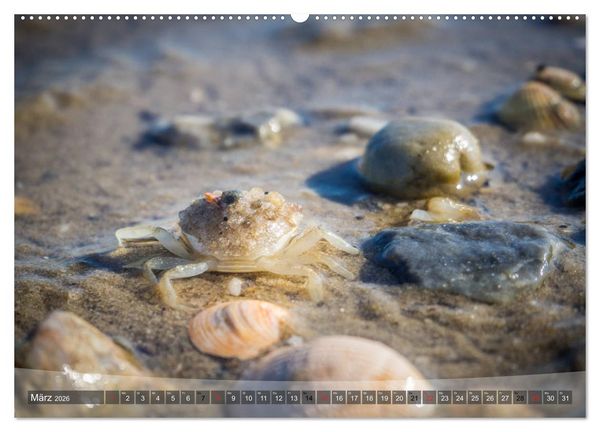Produktbild: Hooksiel im Friesland (Wandkalender 2026 DIN A2 quer), CALVENDO Monatskalender