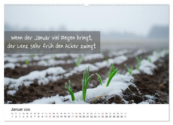 Produktbild: Bauernregeln Kalender - Rhythmus der Jahreszeiten (Wandkalender 2026 DIN A2 quer), CALVENDO Monatskalender