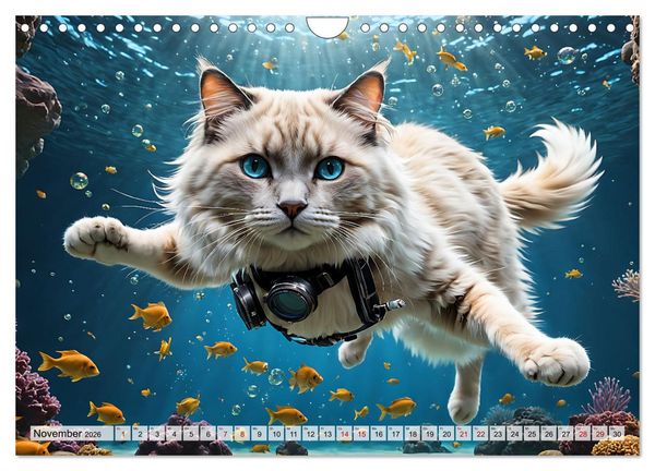 Produktbild: Katzen unter Wasser (Wandkalender 2026 DIN A4 quer), CALVENDO Monatskalender