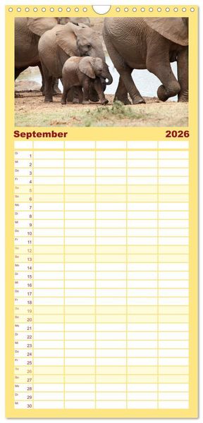 Produktbild: Familienplaner 2026 - Elefanten in Afrika mit 5 Spalten (Wandkalender, 21 x 45 cm) CALVENDO