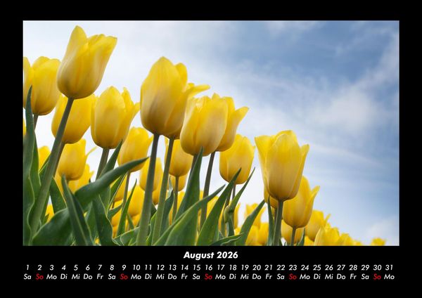 Produktbild: Blumen & Pflanzen 2026 Fotokalender DIN A3