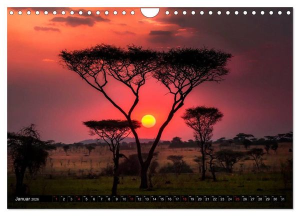 Produktbild: Afrikas B&auml;ume (Wandkalender 2026 DIN A4 quer), CALVENDO Monatskalender