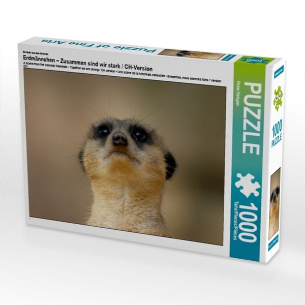 CALVENDO Puzzle Ein Motiv aus dem Kalender Erdmännchen - Zusammen sind wir stark / CH-Version | 1000 Teile Lege-Größe 64x48cm Foto-Puzzle für