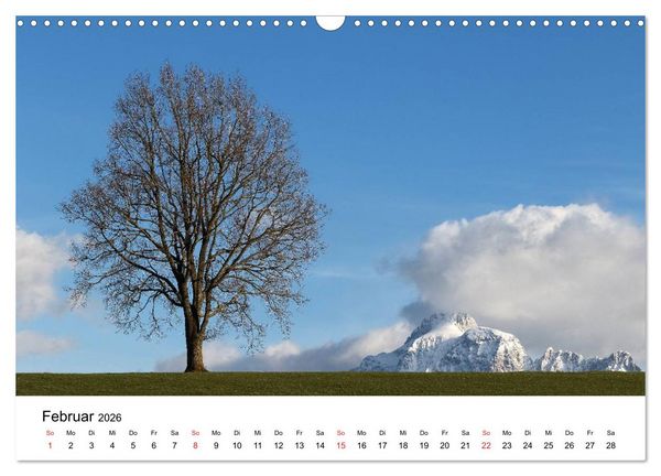 Produktbild: Hopfensee - Riviera des Allg&auml;us (Wandkalender 2026 DIN A3 quer), CALVENDO Monatskalender