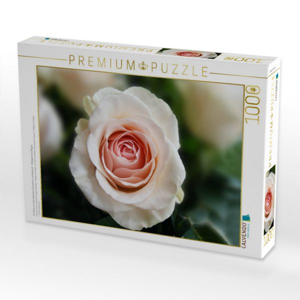 Produktbild: CALVENDO Puzzle Ein Motiv aus dem Kalender Erkenntnis und Weisheit - Hildegard von Bingen | 1000 Teile Lege-Gr&ouml;&szlig;e 64x48cm Foto-Puzzle f&uuml;r gl&uuml;ckliche Stunden