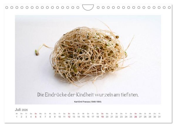Produktbild: FunnyFood (Wandkalender 2026 DIN A4 quer), CALVENDO Monatskalender