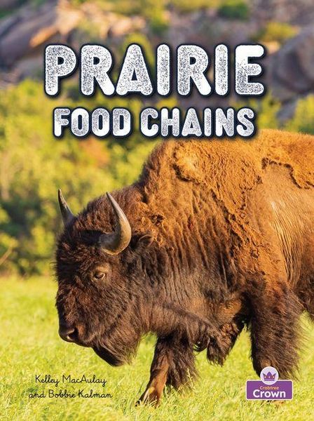Produktbild: Prairie Food Chains