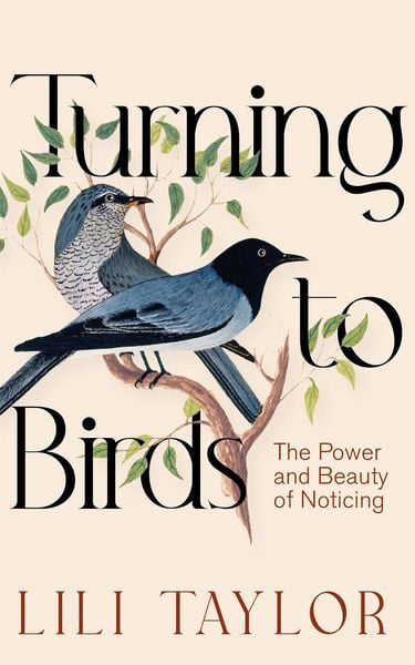 Produktbild: Turning to Birds