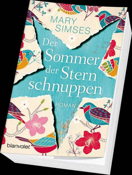 Produktbild: Der Sommer der Sternschnuppen