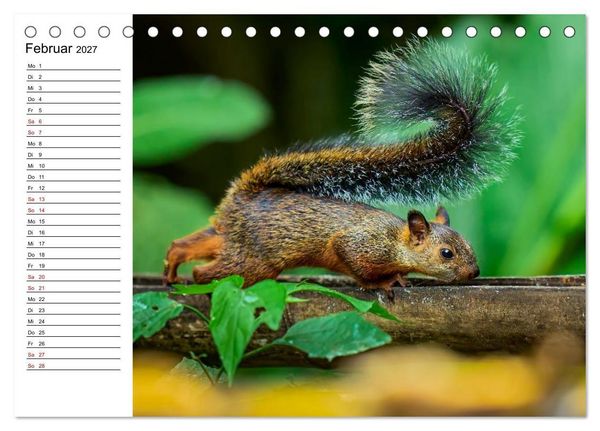 Produktbild: Costa Rica &ndash; Tierparadies im Regenwald (Tischkalender 2027 DIN A5 quer), CALVENDO Monatskalender