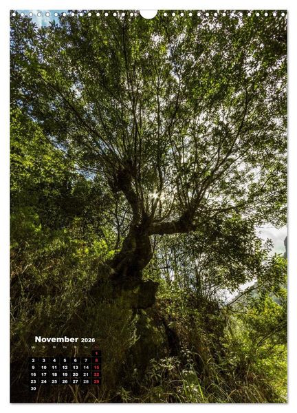 Produktbild: Levadas - Wasserwege auf Madeira (Wandkalender 2026 DIN A3 hoch), CALVENDO Monatskalender