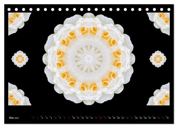 Produktbild: ROSEN MANDALAS (Tischkalender 2027 DIN A5 quer), CALVENDO Monatskalender