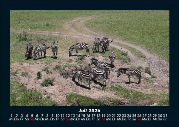 Produktbild: Zebrazauber 2026 Fotokalender DIN A5