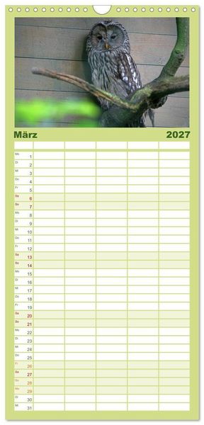 Produktbild: Familienplaner 2027 - Eulen mit 5 Spalten (Wandkalender, 21 x 45 cm) CALVENDO