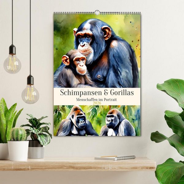 Produktbild: Schimpansen & Gorillas (Wandkalender 2026 DIN A2 hoch), CALVENDO Monatskalender