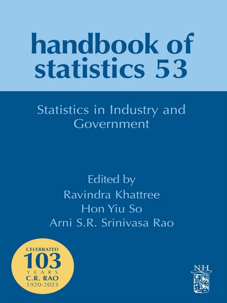Produktbild: Statistics in Industry and Government