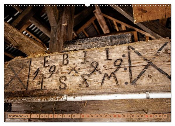 Produktbild: Das Element Holz - Ein Sinnbild (hochwertiger Premium Wandkalender 2026 DIN A2 quer), Kunstdruck in Hochglanz