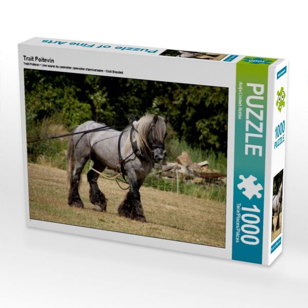 Produktbild: CALVENDO Puzzle Trait Poitevin | 1000 Teile Lege-Gr&ouml;&szlig;e 64x48cm Foto-Puzzle f&uuml;r gl&uuml;ckliche Stunden
