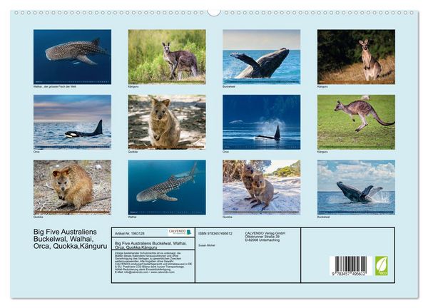 Produktbild: Big Five Australiens Buckelwal, Walhai, Orca, Quokka,K&auml;nguru (hochwertiger Premium Wandkalender 2026 DIN A2 quer), Kunstdruck in Hochglanz