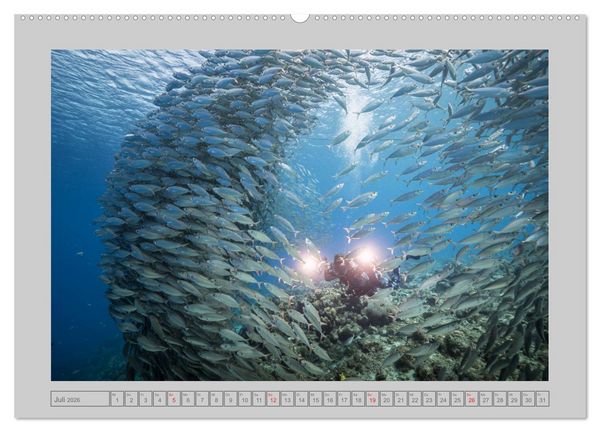 Produktbild: Karibische Meerblicke (Wandkalender 2026 DIN A2 quer), CALVENDO Monatskalender