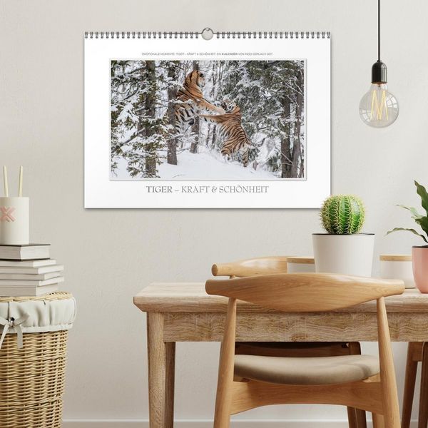 Produktbild: Emotionale Momente: Tiger - Kraft & Sch&ouml;nheit. / CH-Version (Wandkalender 2026 DIN A3 quer), CALVENDO Monatskalender