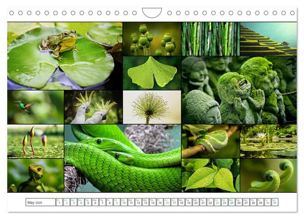 Produktbild: Colour Symphonies of the Earth (Wall Calendar 2026 DIN A4 landscape), CALVENDO 12 Month Wall Calendar