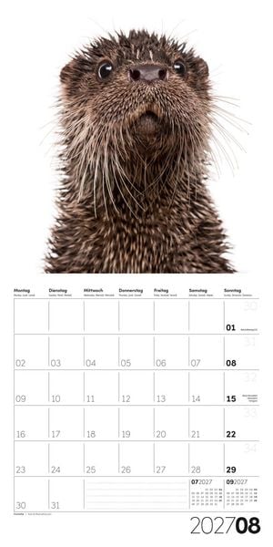 Produktbild: Animals Kalender 2027 - 30x30 - Art12