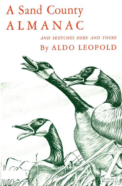 Produktbild: A Sand County Almanac