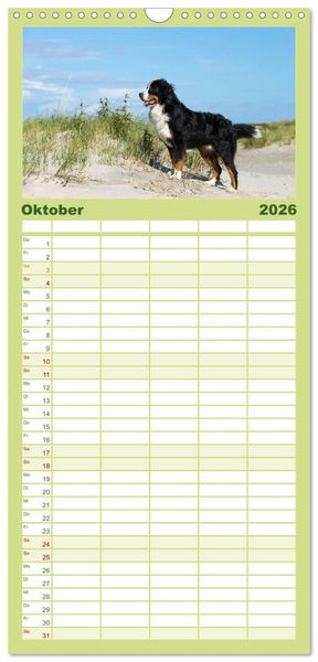 Produktbild: Familienplaner 2026 - Liebling BERNER SENNENHUND mit 5 Spalten (Wandkalender, 21 x 45 cm) CALVENDO